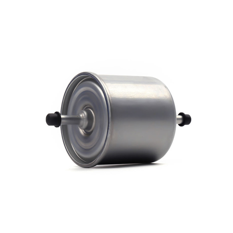 Ford Fiesta - Moldura XS61-9155-AA
